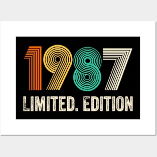 1987 Vintage 1998 Birthday Retro 1987 For Men Women born in 1987 Posters and Art